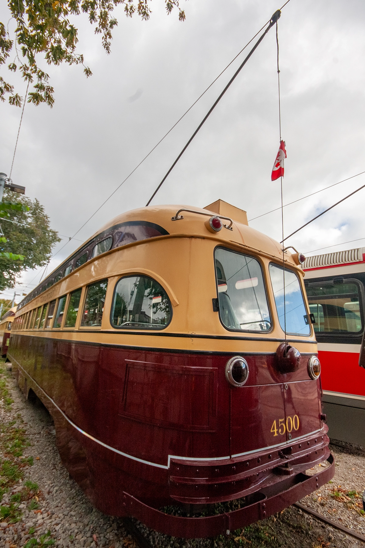 TTC
