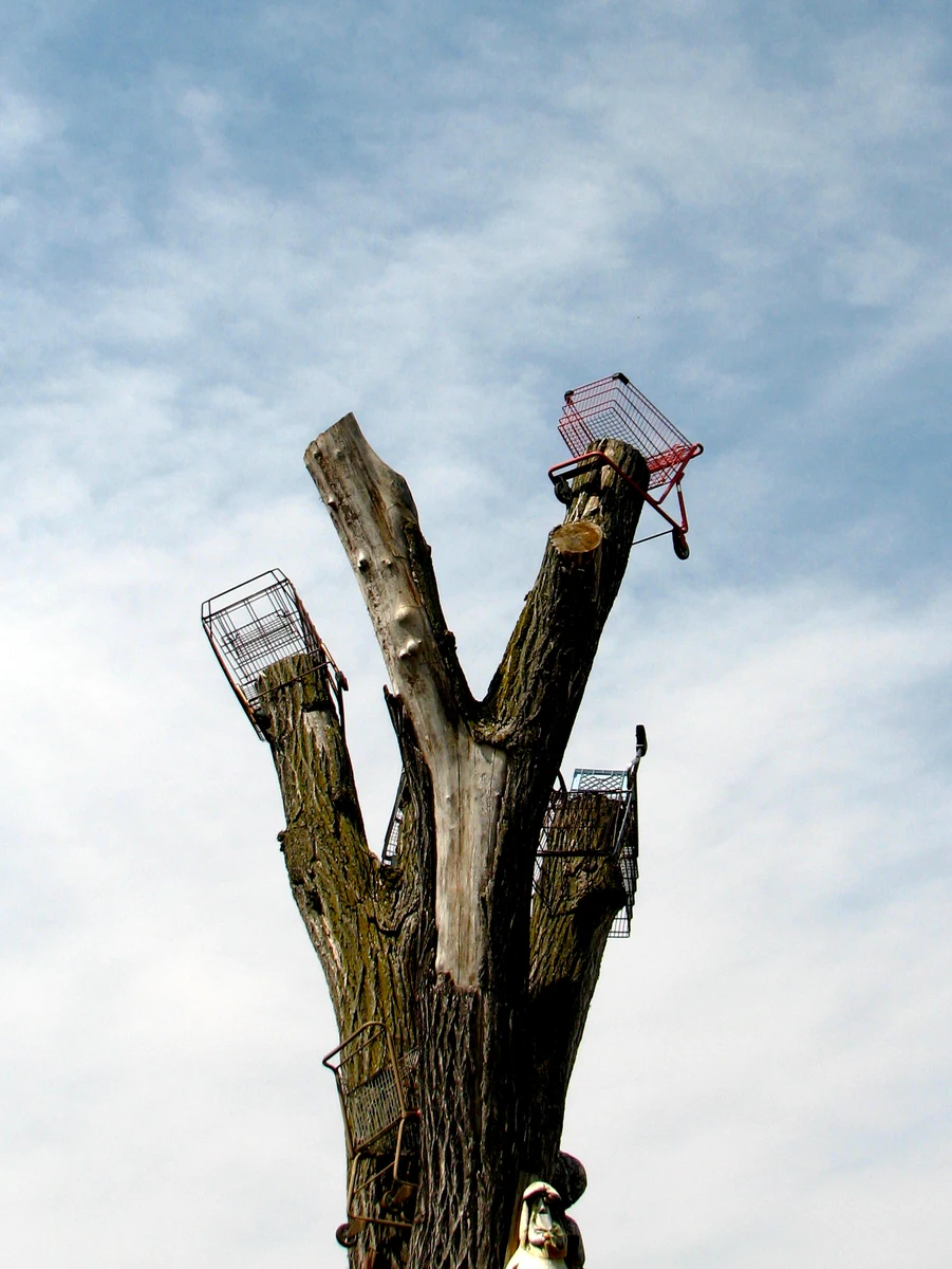The Heidelberg Project