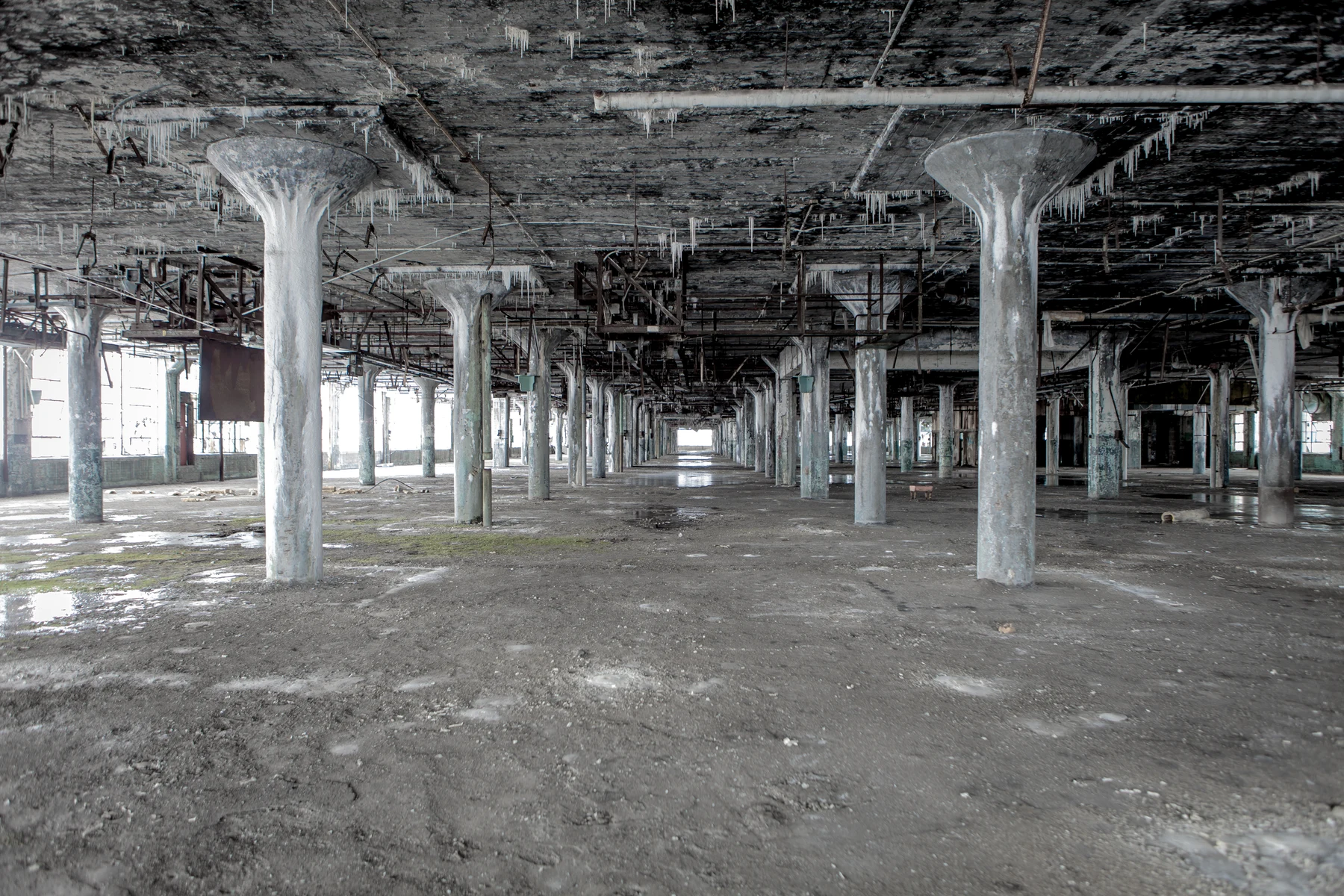 Fisher Auto Body Plant